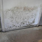 R.E.O. mold remediator for damage